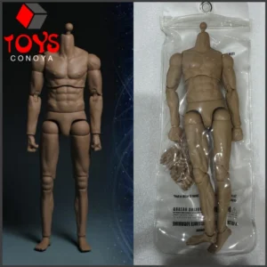 PLAY TOY MB001 1/6 Scale Male Flexible Joint Muscle Body With Double Joint Arm Model 12" Male Soldier Action Figure Body Doll