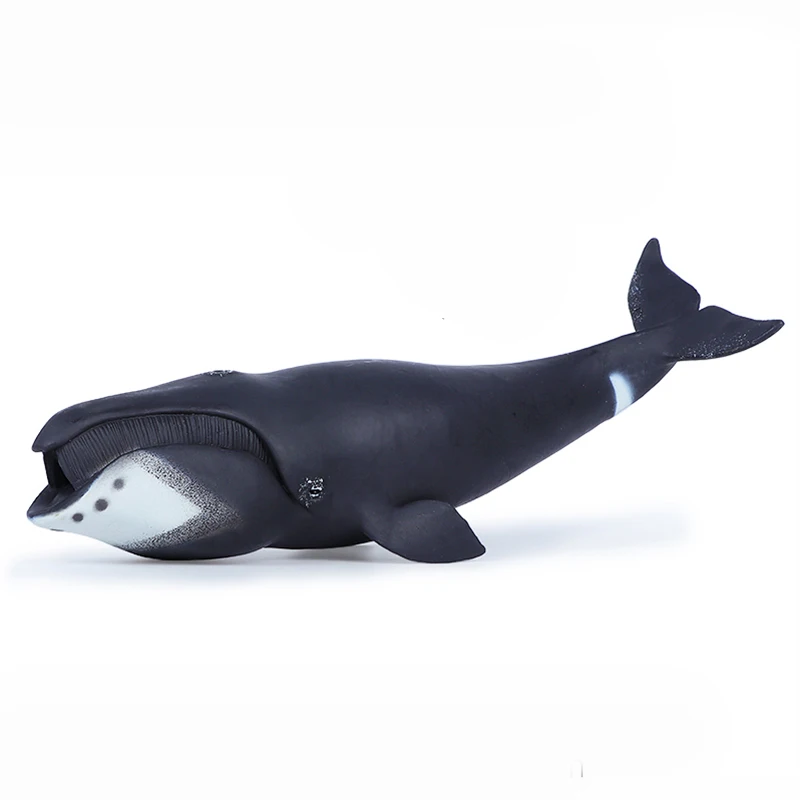 Sea Life Blue whale Toy Great White shark Model Educational and Puzzle Gift for Children animals Action figuren Gift for