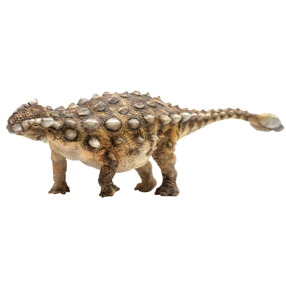 PNSO Detailed Dinosaur Models: 13Sede The Ankylosaurus - Image 5
