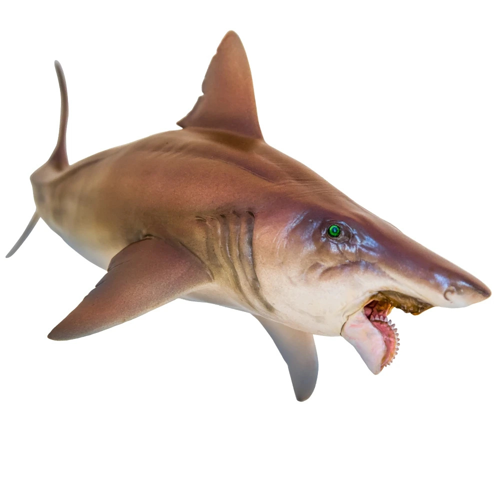 PNSO Prehistoric Dinosaur Models:43 Haylee The Helicoprion
