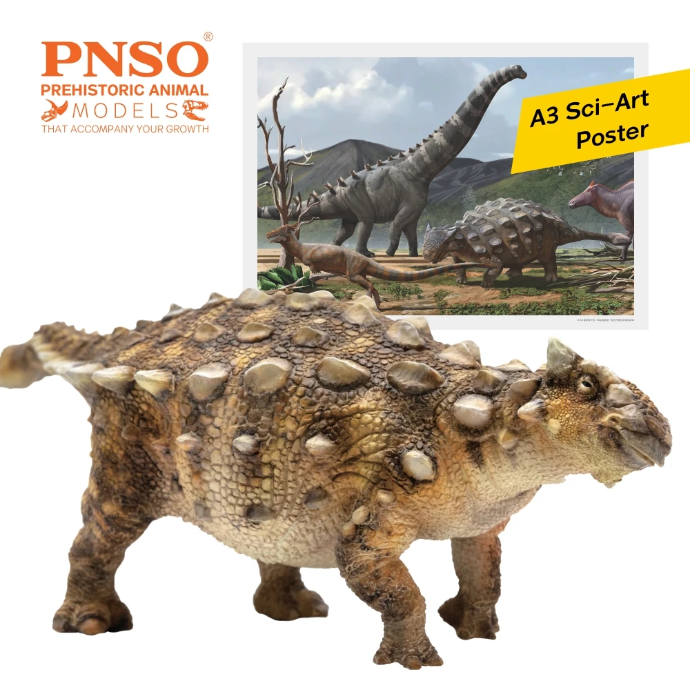 PNSO Detailed Dinosaur Models: 13Sede The Ankylosaurus - Image 3