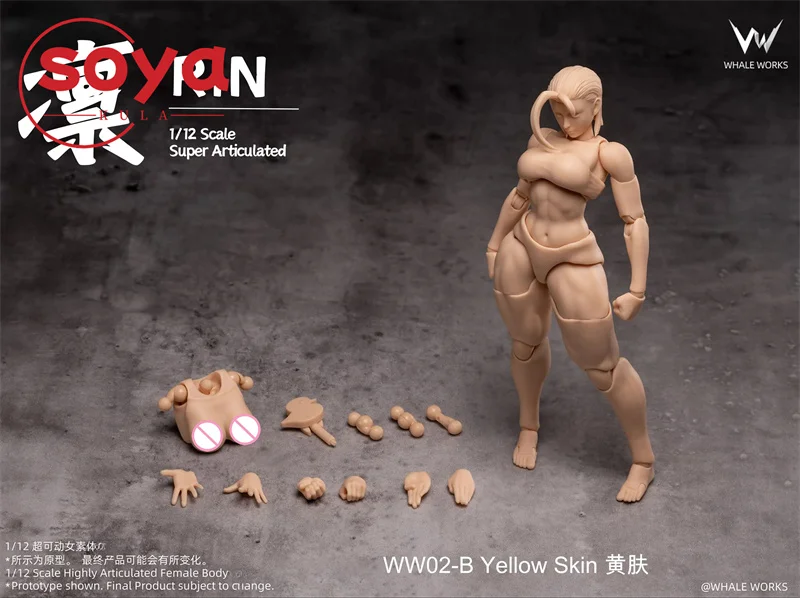 【2026 Q2】WHALE WORKS WW01/02 1/12 Scale ARIA RIN Super Flexible 12" Female Doll with Movable Eyes Head Fat Legs Joint Body - Image 9
