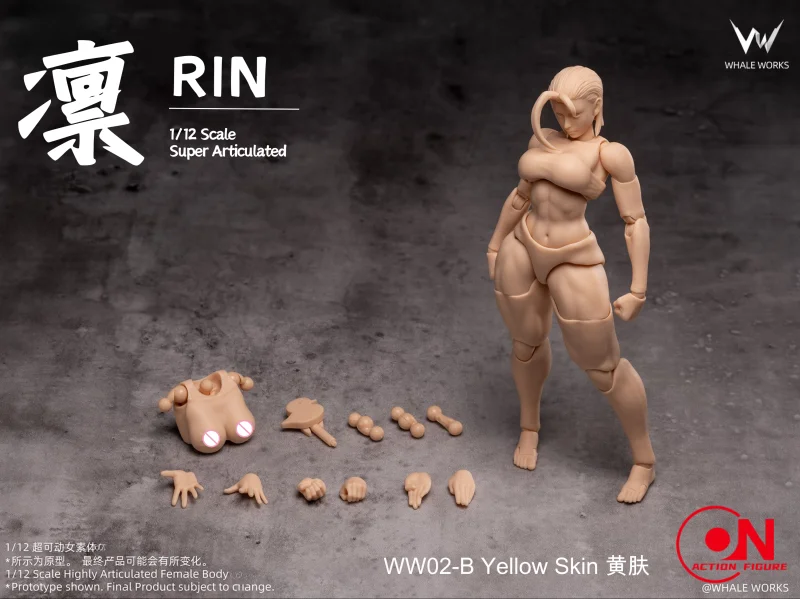 WHALE WORKS WW01/02 1/12 Scale Female Body Action Figure And Movable Eye For 6inch Female Soldier Doll - Image 8