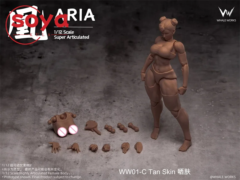 【2026 Q2】WHALE WORKS WW01/02 1/12 Scale ARIA RIN Super Flexible 12" Female Doll with Movable Eyes Head Fat Legs Joint Body - Image 11