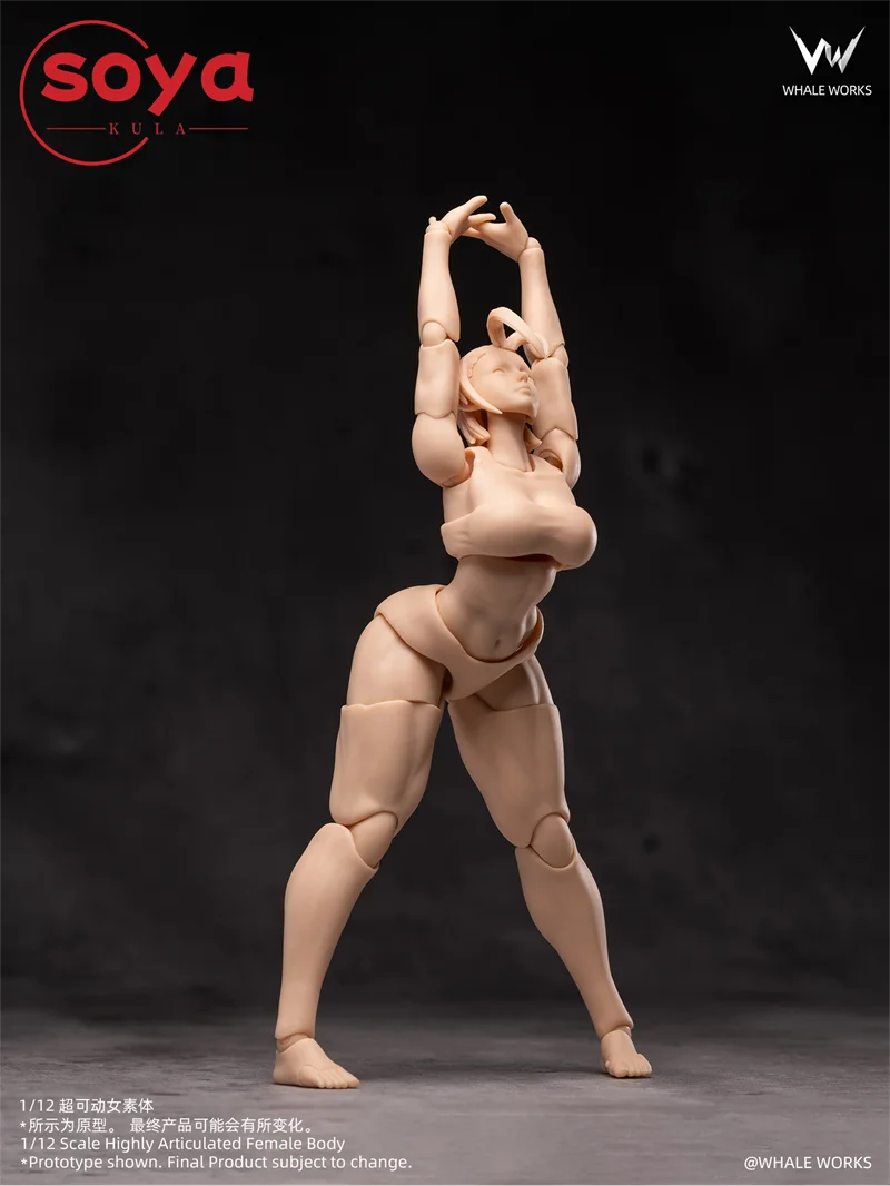 【2026 Q2】WHALE WORKS WW01/02 1/12 Scale ARIA RIN Super Flexible 12" Female Doll with Movable Eyes Head Fat Legs Joint Body - Image 6
