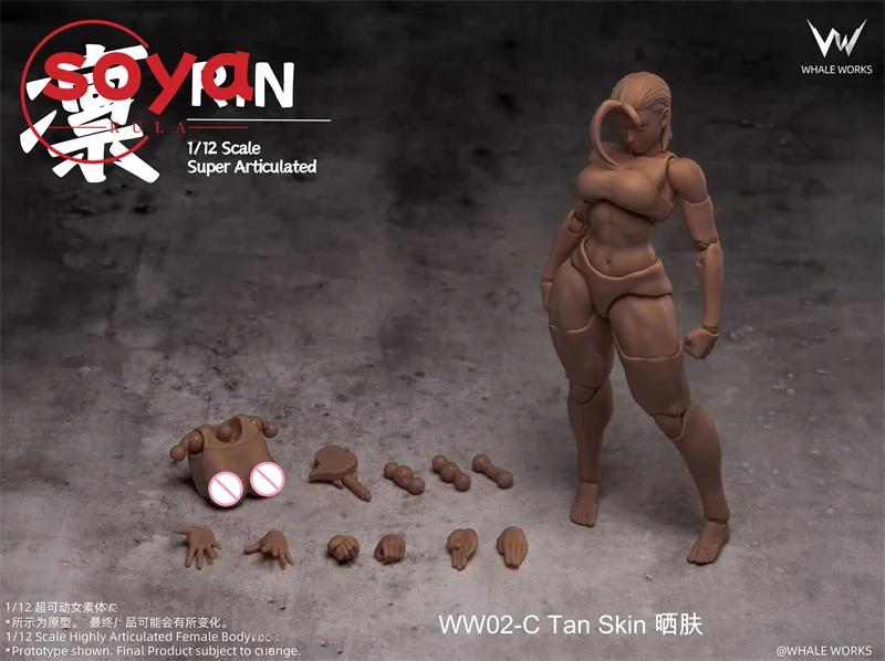 【2026 Q2】WHALE WORKS WW01/02 1/12 Scale ARIA RIN Super Flexible 12" Female Doll with Movable Eyes Head Fat Legs Joint Body - Image 7