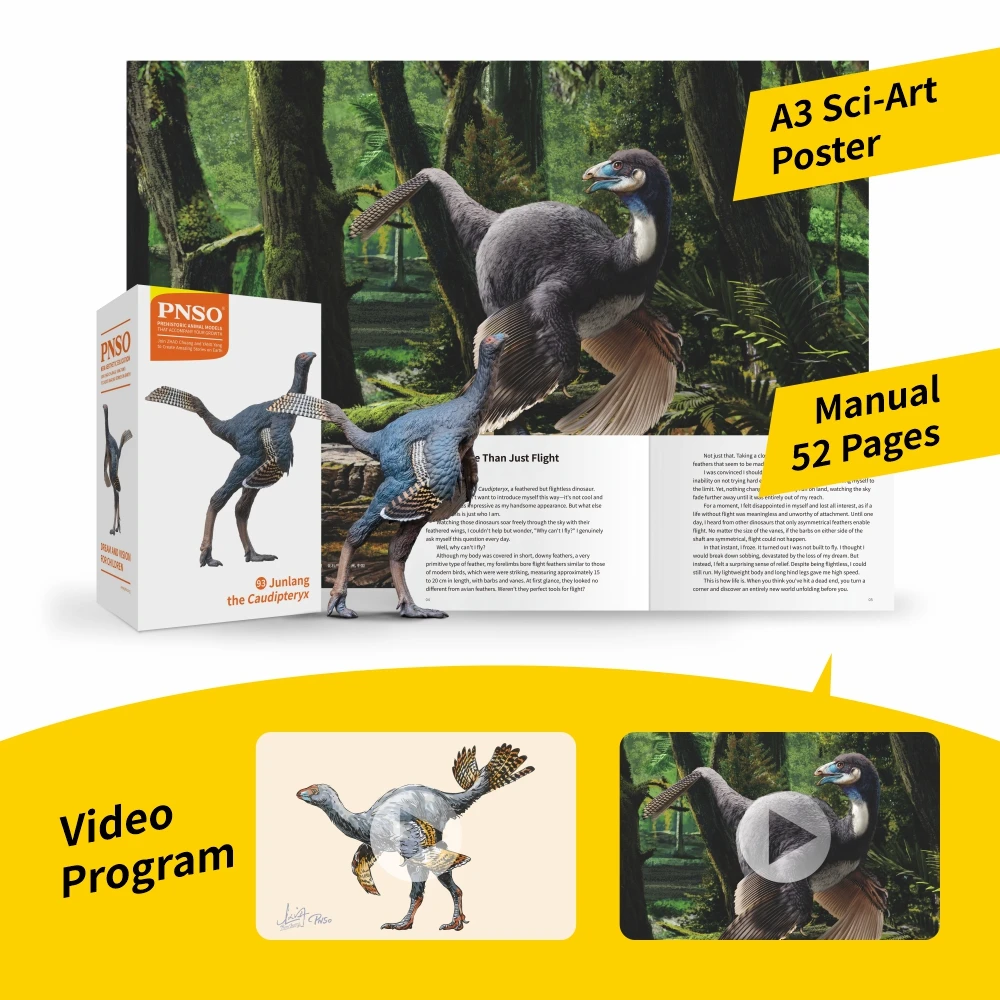 PNSO Prehistoric Dinosaur Models:93 Junlang the Caudipteryx