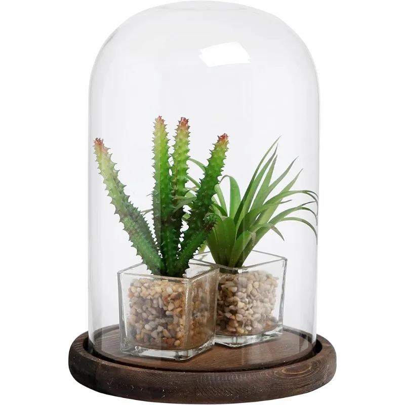 Bell Jar Glass Cloche with Rustic Wood Base,10In Tall Clear Decorative Glass Dome Display for Plants,Curios,Keepsakes,Heirlooms