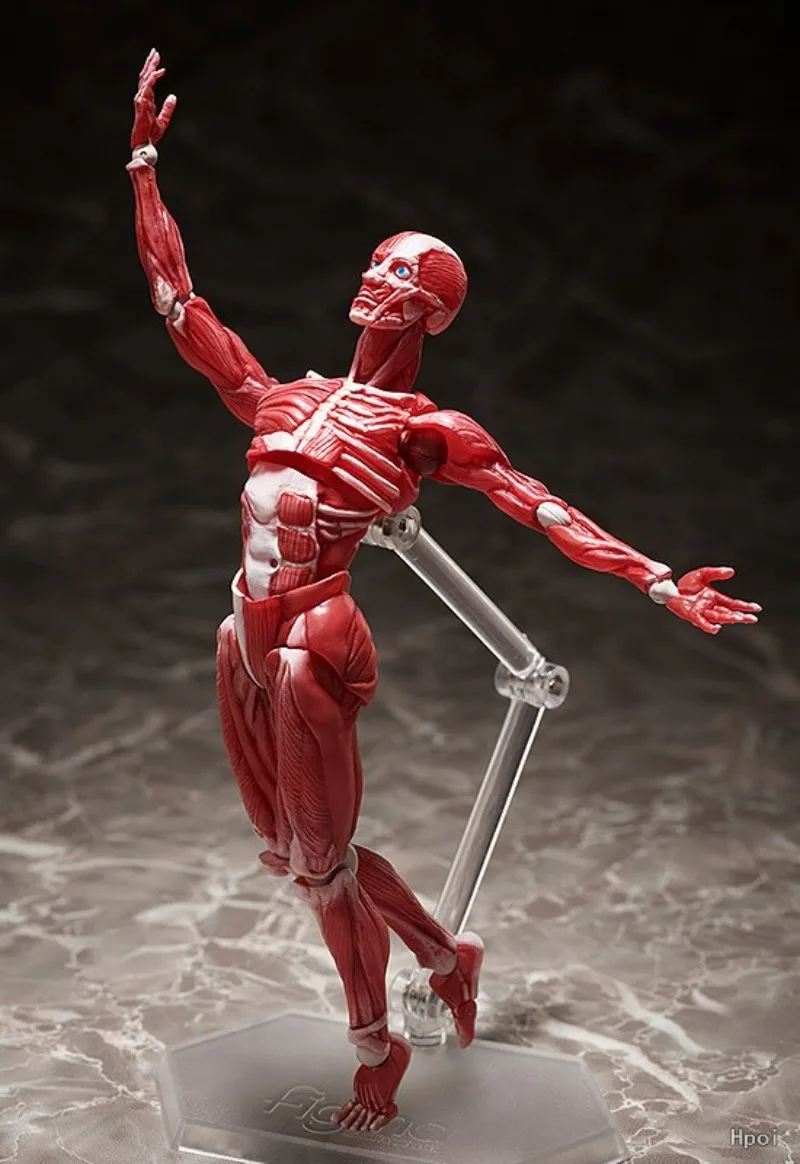 Max Factory Freeing Genuine Figma Table Museum Serie Thinker Venus Human SP-056 063 142 Artistic Gypsum Action Figures Model Toy - Image 6
