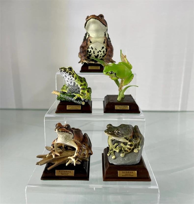 Official Japanese Ikimon Frog & Toad Special Edition Gashapon – Green Frog, Bellflower Frog, And Sailfish Frog 3d Figures