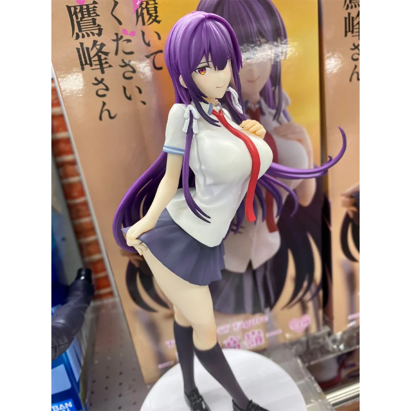 FuRyu Authentic Brand New TTI Please Put Them On Takamine Takane Prize Figure Anime Collectible For Figure Collectors And Fans
