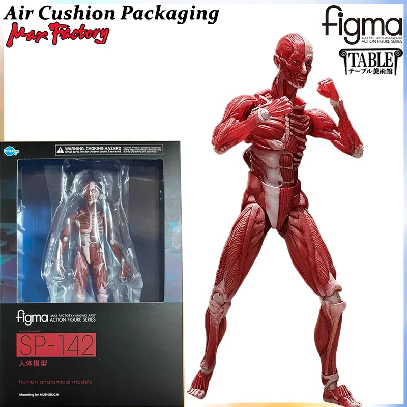Max Factory Freeing Genuine Figma Table Museum Serie Thinker Venus Human SP-056 063 142 Artistic Gypsum Action Figures Model Toy - Image 7
