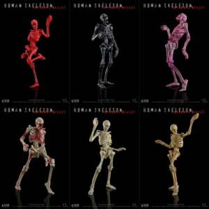 In Stock Original Keep Going 6 Color 1/12 Scale Soldier Scene Accessory Human Skeleton Full Set 6-inches Action Figure Model Toy
